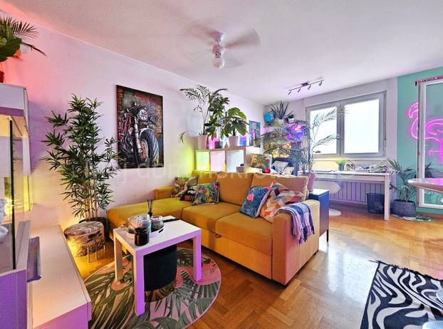 FOTO Prodaje se 'egzotični' stan u Zagrebu. Flamingosi, palme i disco u 36m2! Cijena mu je hit...