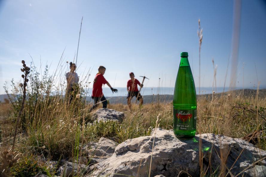 Tri srca u akciji pošumljavanja opožarenih područja u Dalmaciji