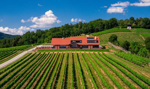 Prepustite se gastronomskoj čaroliji vinarije Kutjevo