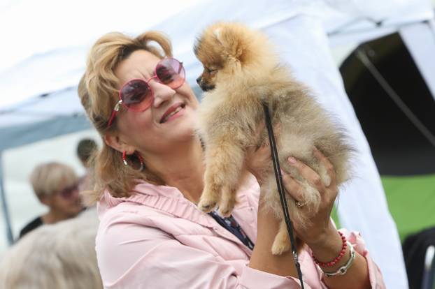 Karlovac: Me?unarodna izložba pasa