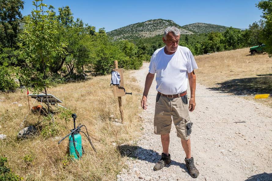 Gornje Maovice: Mjesto gdje je potvrđen slučaj bedrenice