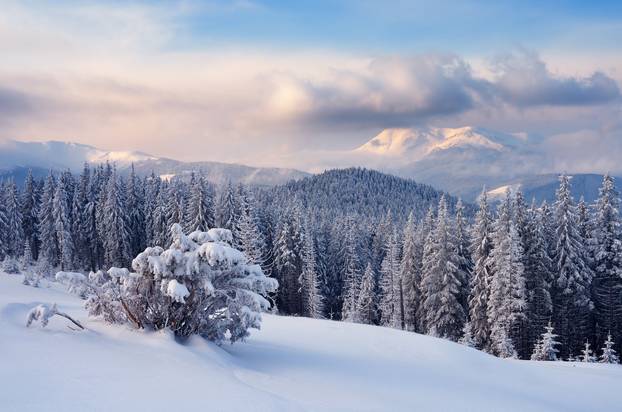 Winter in the mountains 