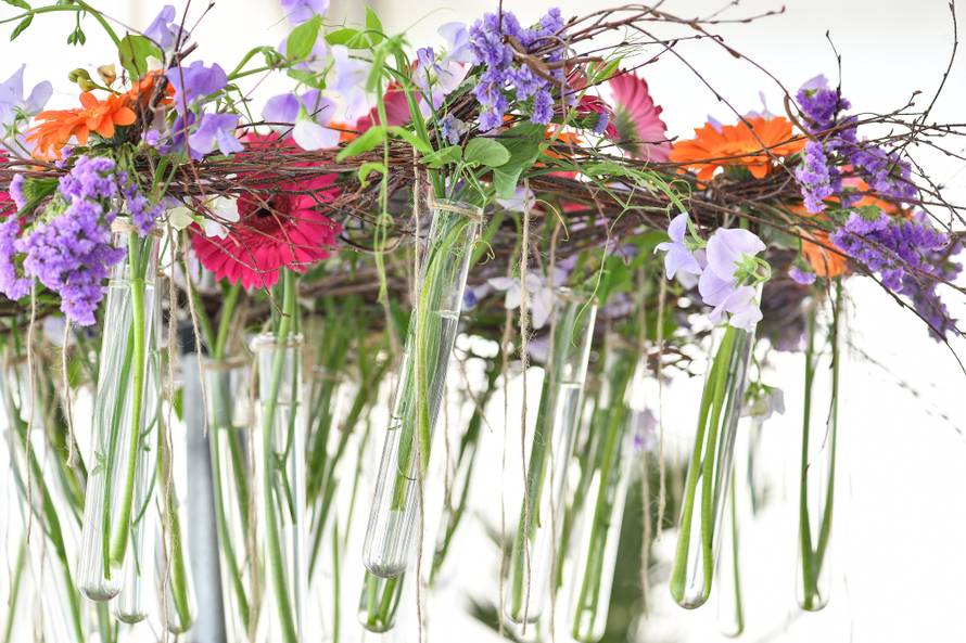 Floraart: Sadnice cvijeća od 2 kune, a za 25 mini vrt u posudi