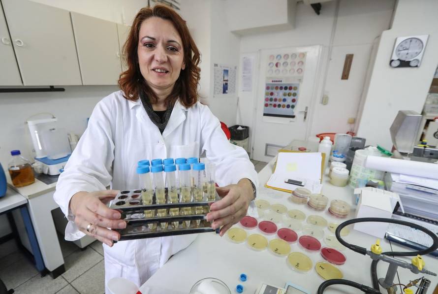 U javnim zahodima u Zagrebu moglo bi se čak i jesti s poda