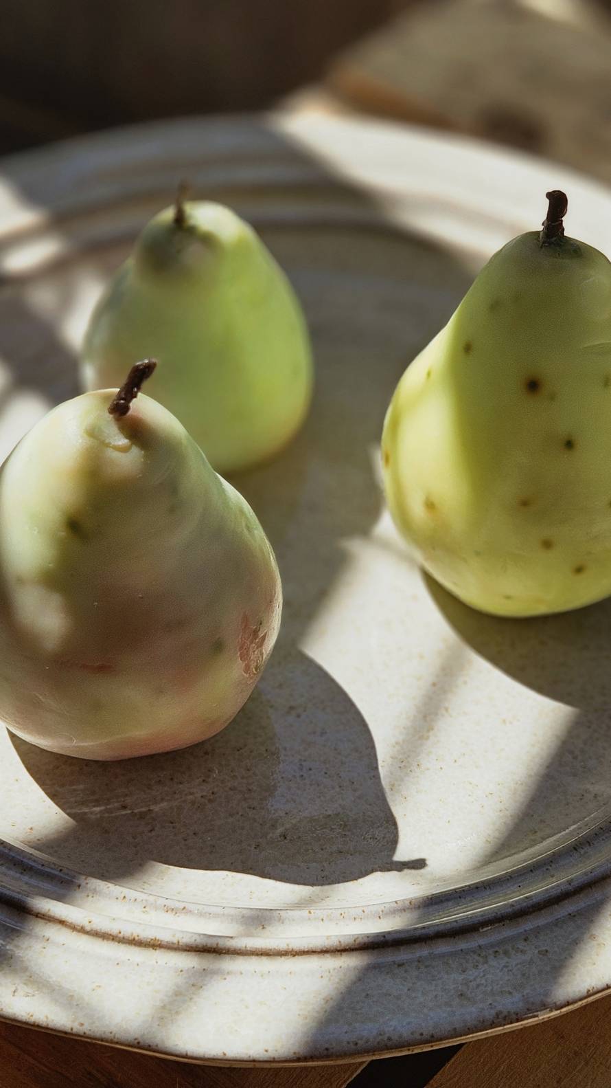 Kristina iz Vinkovaca pretvara vosak u savršeno realistične voćke: 'Ljudi ih obožavaju'