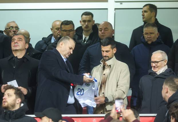 Zenica: Novak Đoković prati utakmicu Bosna i Hercegovina - Italija