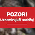 VIDEO Kod Biograda je izgorio peradarnik: Stradalo je više od 18 tisuća komada peradi...