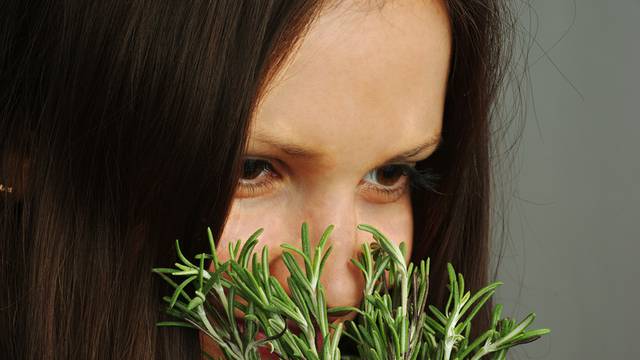 Girl sniffing rosemary