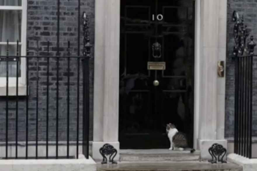 Larry, mačak iz Downing Streeta kojeg nije zabrinuo politički potres u Ujedinjenom Kraljevstvu
