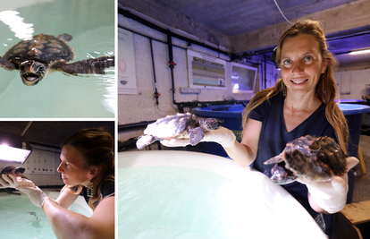 VIDEO Zna imena svim želvama koje je spasila u Puli: 'Jedna od 40 kila ugrizla me za stražnjicu'