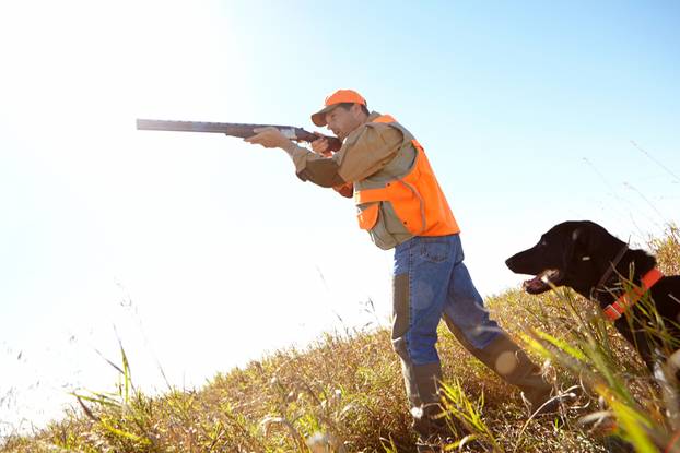 Man, dog and outdoor for hunting shotgun, rifle and stalking prey together in nature. Mature person, pet animal and hunter support in field to guide in woods, partnership and tracking in sports