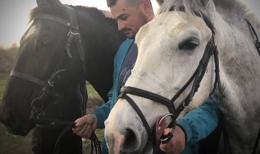 Neizmjerna tuga kod Jovana, uginula mu kobila: Zašto je srce tvoje moralo prestati kucati?