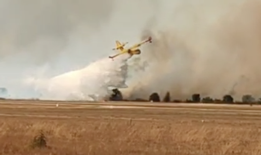 VIDEO Pogledajte kako kanader gasi požar kraj zračne luke u Zadru: 'Vatra je gutala sve'