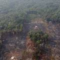 Stručnjaci: Amazona bi mogla postati izvor ugljičnog dioksida