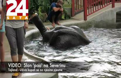 Ovaj slon je 'pao' na Severinu: Pogledajte video s Tajlanda