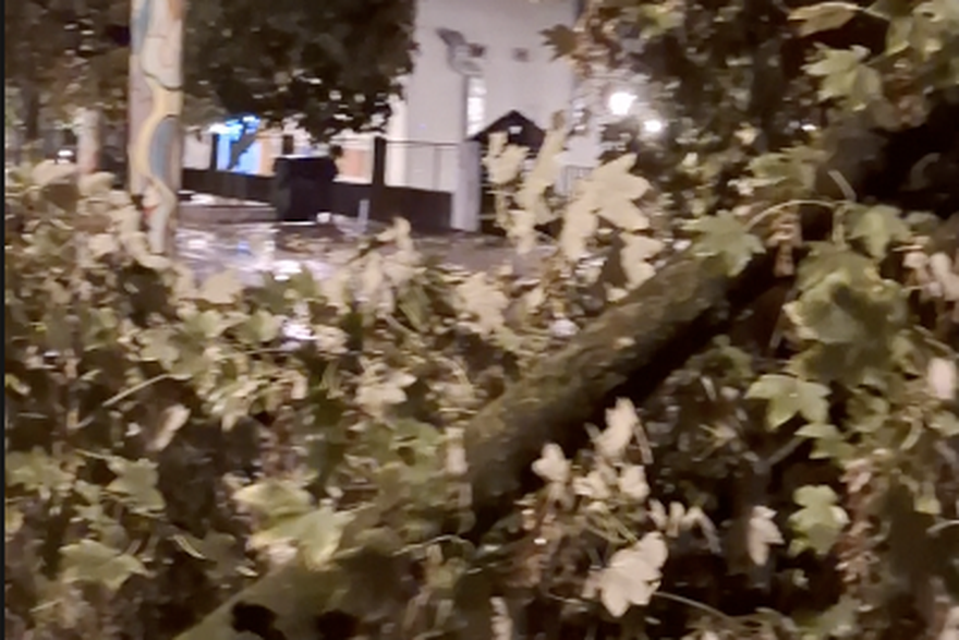 Noćas na Volovčici palo stablo preko pješačkog