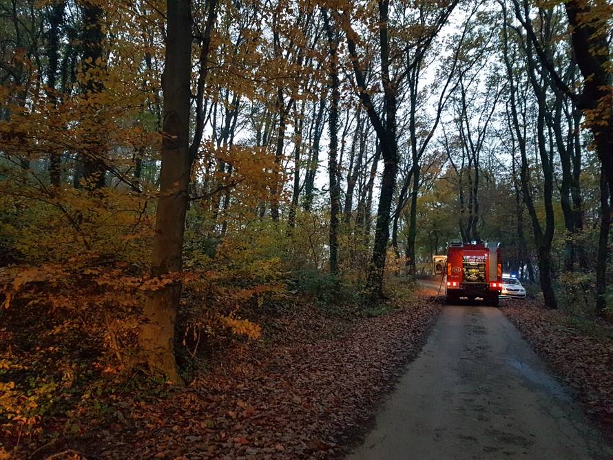 Piroman i lopov: Krade Golfove pa ih onda pali na Črnomercu...
