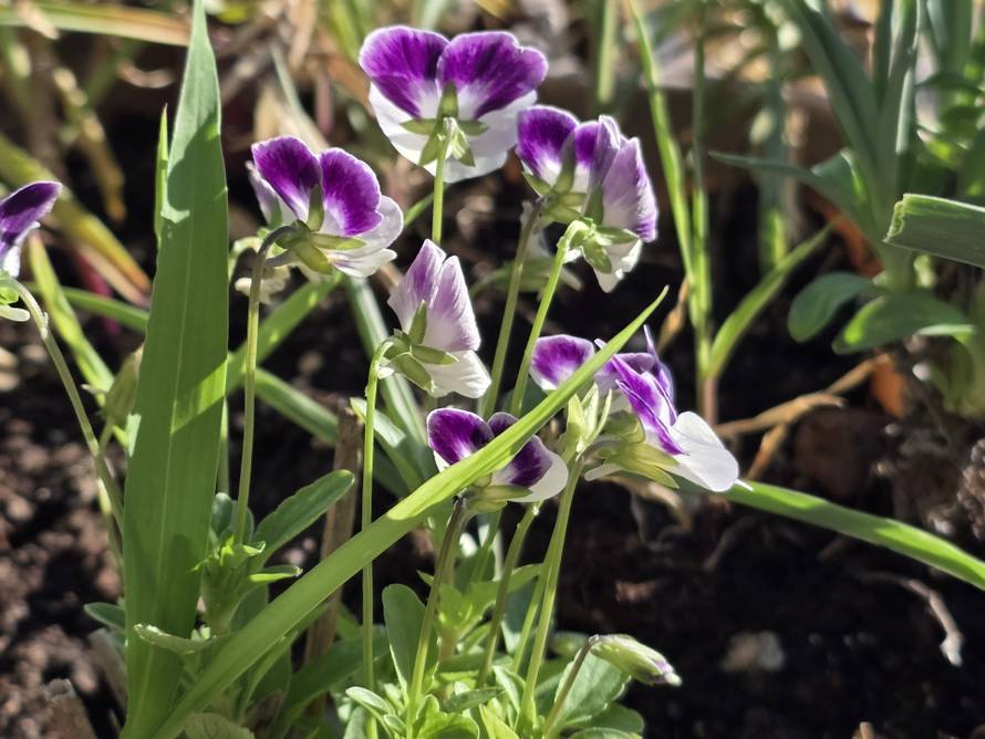 Ovo je 7 stvari koje su nam se svidjele na Galaxy Fold 7