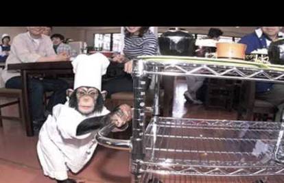 25 najluđih restorana: Majmuni su konobari, jede se u moru...