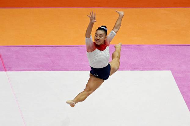 2025 World Artistic Gymnastics Championships