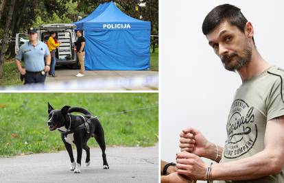 Biciklistu četiri godine zatvora: Udarcem noge u glavu ubio je šetača psa u Zagrebu i pobjegao
