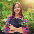 Put do vlastite hrane: Savjeti za sadnju u vrtu ili na balkonu