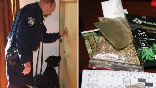 Rovinjska policija pomoću psa Duksa otkrila pola kile 'trave'