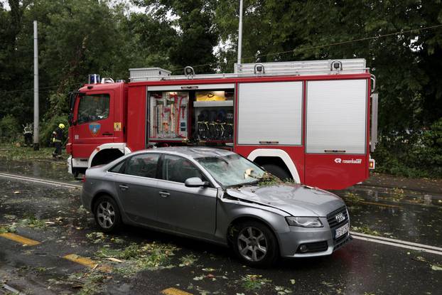 Zagreb: Palo stablo na Maksimirskoj, blokiran promet, vatrogasci na terenu