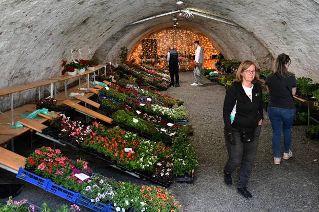 Slavonski Brod: Sajam cvijeća, sadnica, presadnica i cvijetnih dekoracija - Florafest 2026.