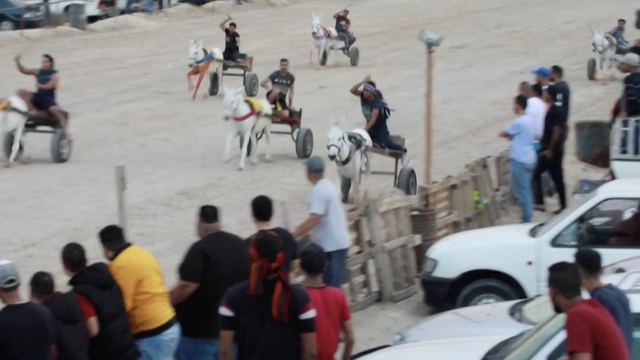 Utrke magaraca u Bahreinu privlače gledatelje, ali i osudu aktivista za prava životinja