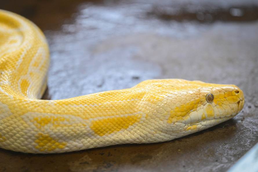 24sata Zagreb: Rodilište u Zoološkom vrtu