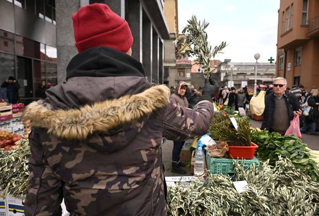 Zagreb: Prodaja maslinovih grančica uoči Cvjetnice