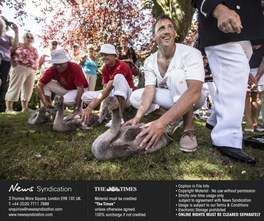 News Syndication/PIXSELL