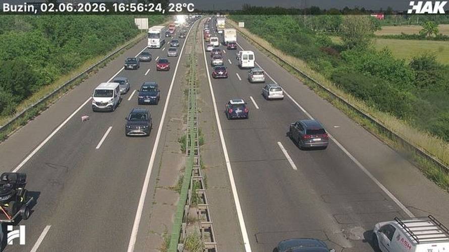 VIDEO Kolaps zbog svinja na obilaznici u Zagrebu, pokušat će ih uhvatiti. Kolona čak 7 km!