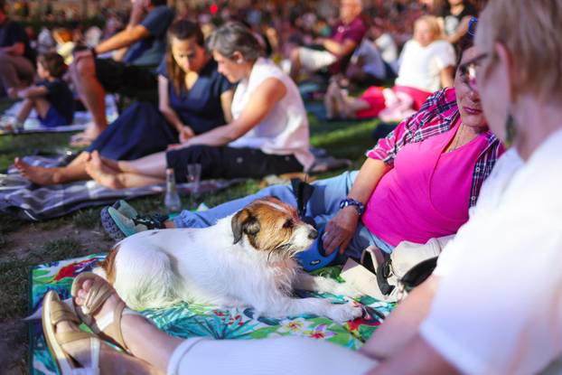 Zagreb Classic, Sjaj Mediterana