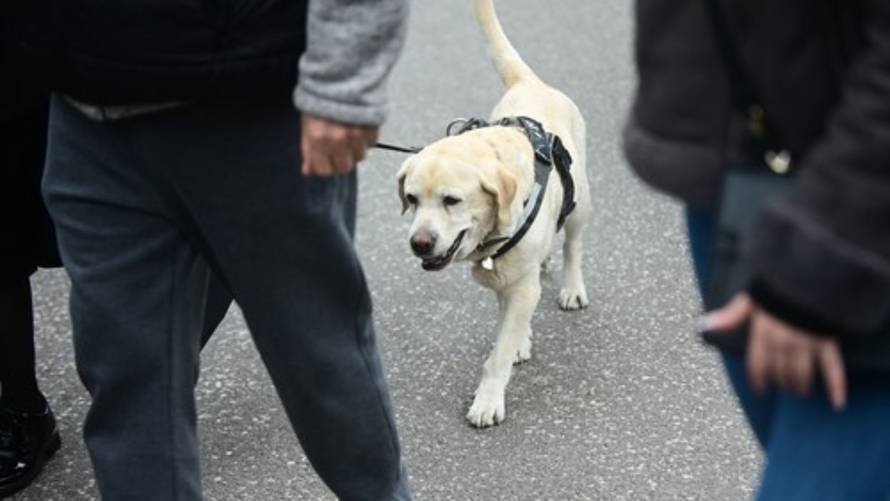 Scena koja slama srce: Brojni poznati okupili se na ispraćaju Vujoševića. Ondje i njegov pas