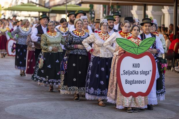 Vinkovci: Svečani mimohod sudionika 60. Vinkovačkih jeseni