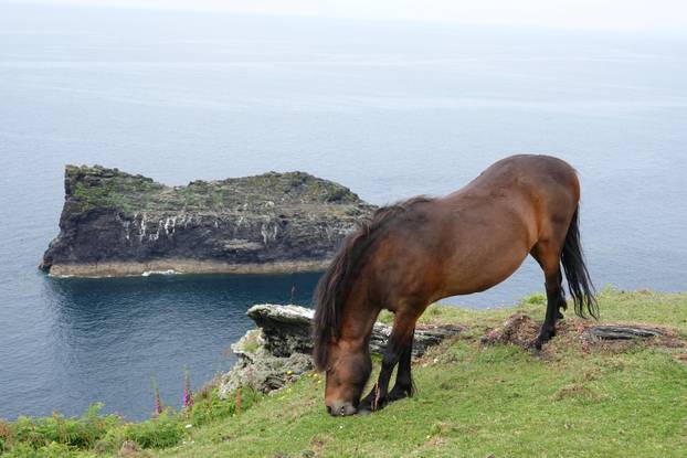 Great Britain - Cornwall