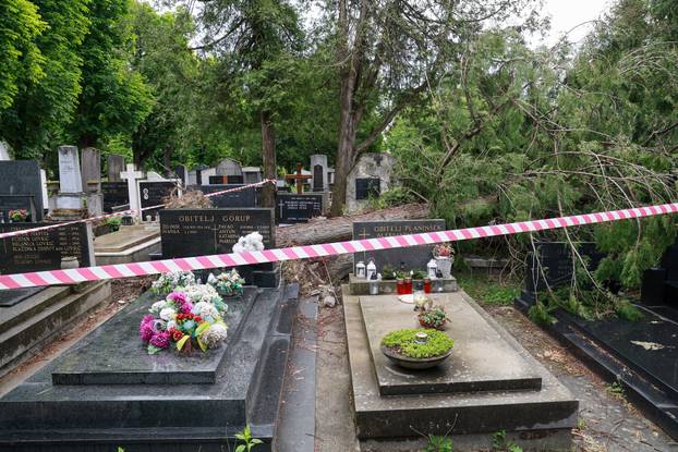 U oluji porušena stabla na Mirogoju napravila su veliku štetu