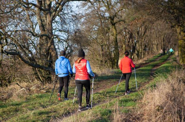 A,Group,In,The,Nature,Nordic,Walking,In,Their,Leisure