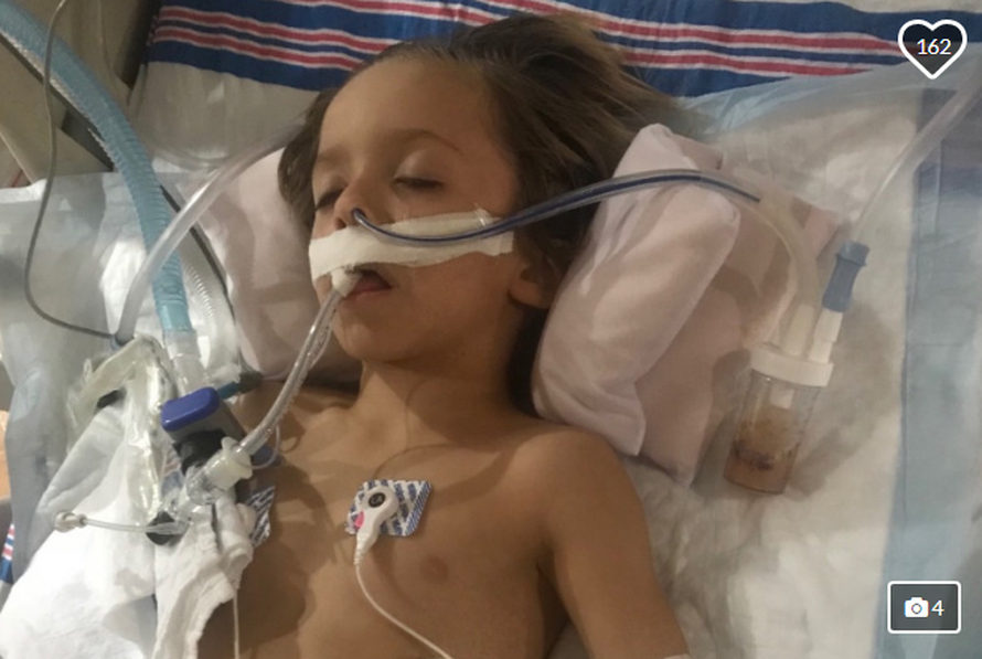 Dječaka ogrebao šišmiš, nakon tjedan dana preminuo u bolnici