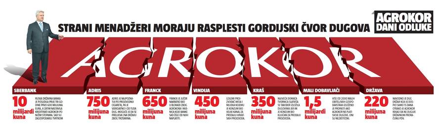 Strani menadžeri će morati rasplesti gordijski čvor dugova