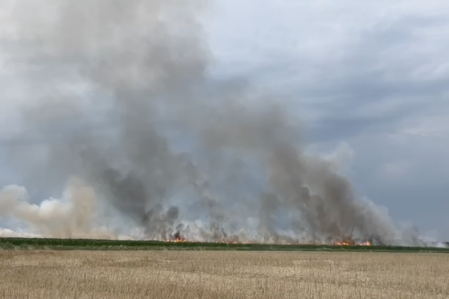 Nedeli&scaron;&cacute;e: Gore polja