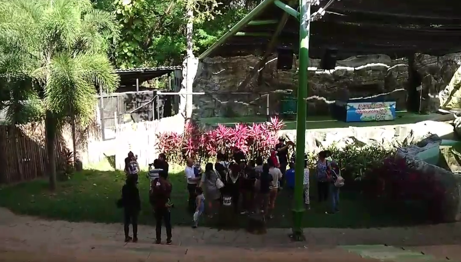 Bizarno: U zoološkom vrtu na Tajlandu trešti - Severinin hit