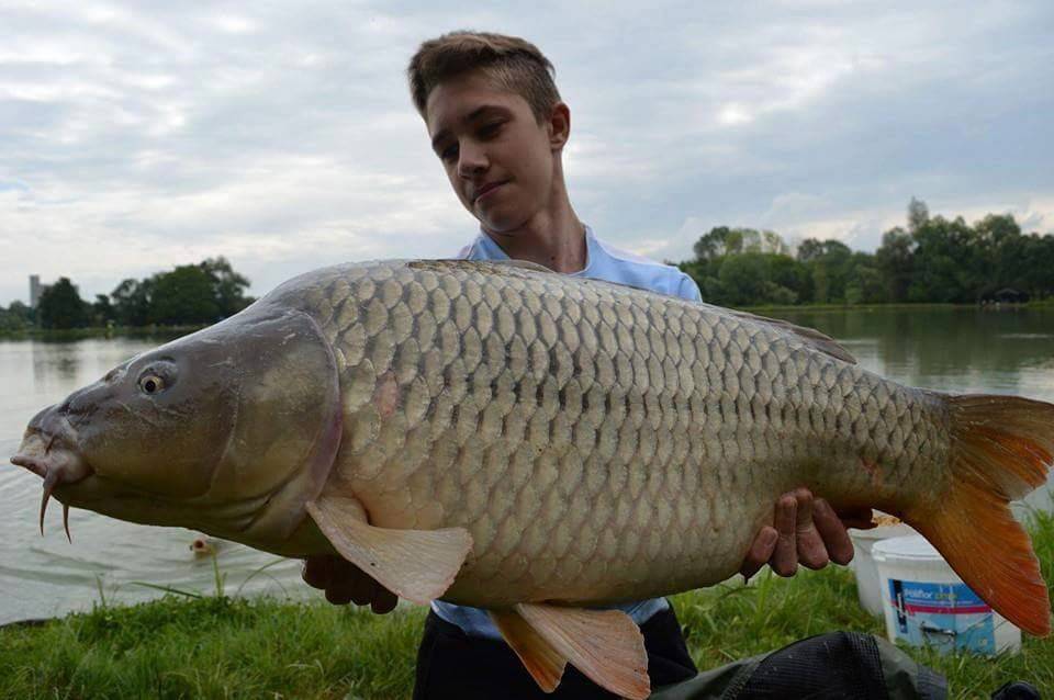 Antonio (16) se sat vremena borio sa šaranom od 20 kg