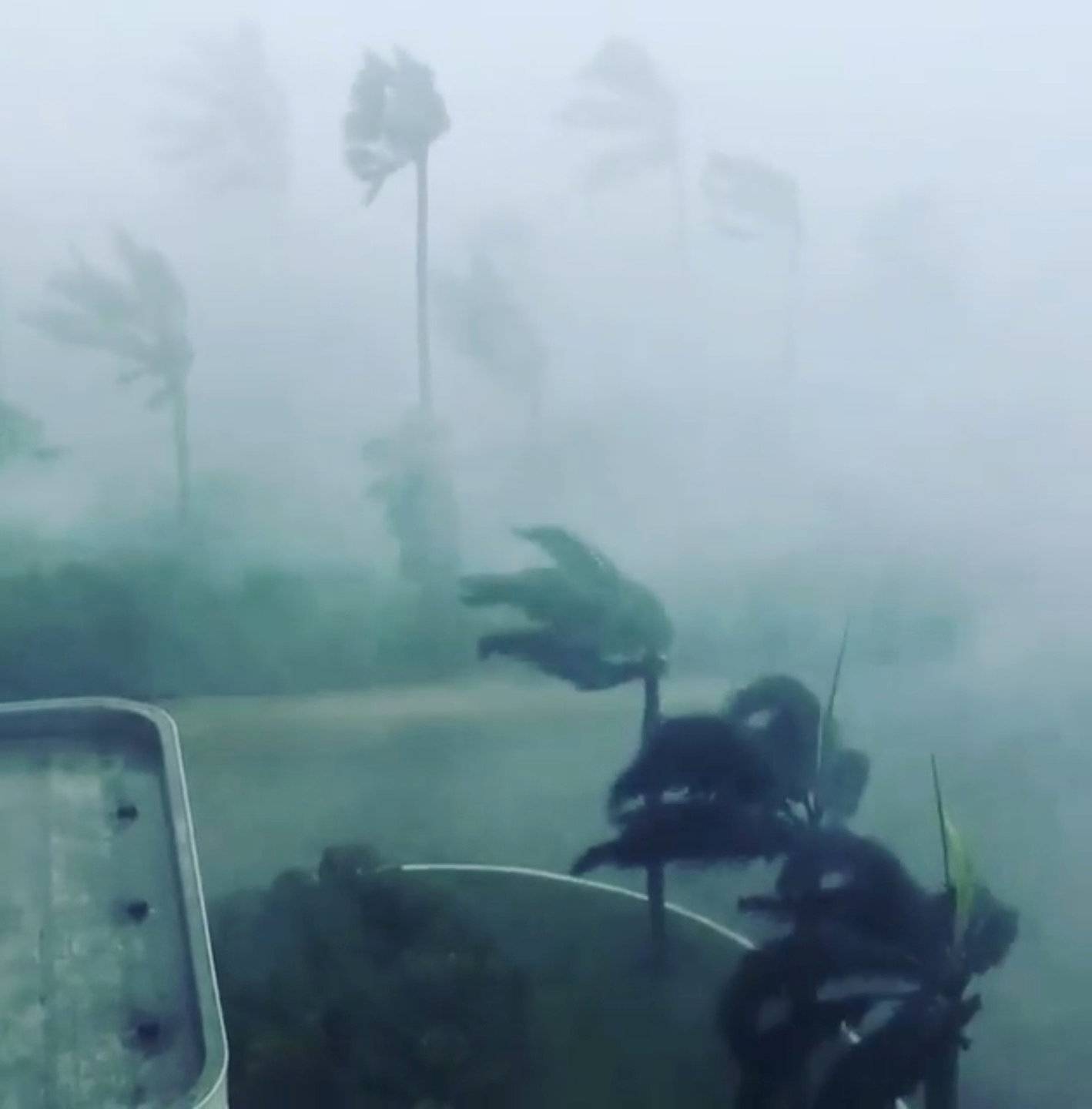 Trees sway in strong winds during a storm as Hurricane Irma hits Marco Island, Florida