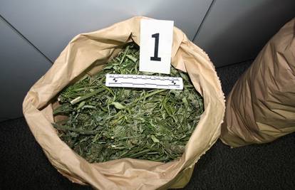 U preprodaju 2,5 kg marihuane u Zadru uključio maloljetnika