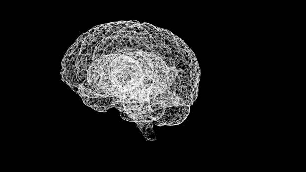 Concept of human intelligence. Abstract white model of human brain on black background.