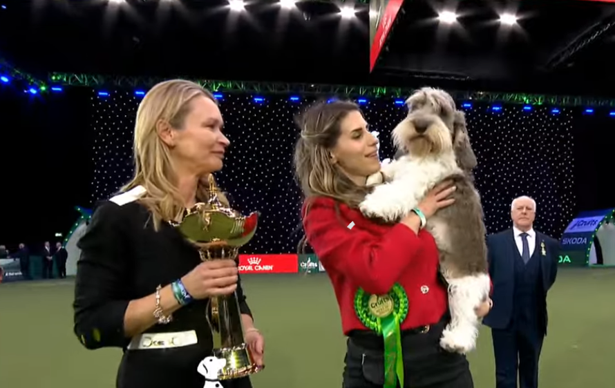 Naša Meghan, najljepši pas na svijetu, ušla u finale najveće i najstarije kraljevske izložbe!