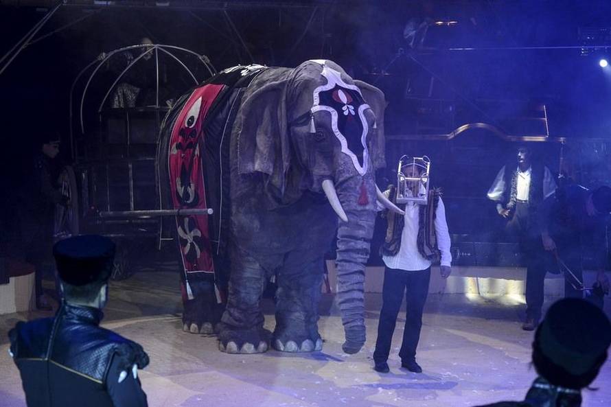 Cirkusi u karanteni: Životinje leže beživotno u nastambama